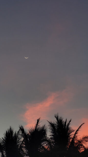 Crescent Moon Spiritual Energy and New Beginnings Aesthetic Wallpaper