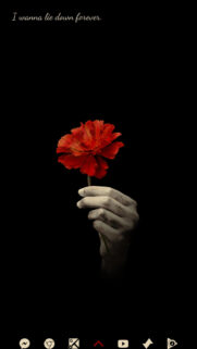Minimalist Red Flower Held by Grey Hand Mobile Wallpaper