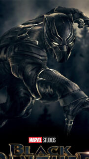 Black Panther Action Pose Marvel Hero 4K Mobile Wallpaper
