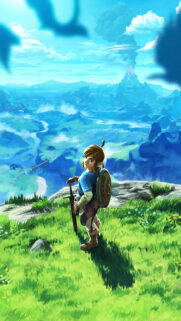 The Legend of Zelda Breath of the Wild Link Mobile Wallpaper