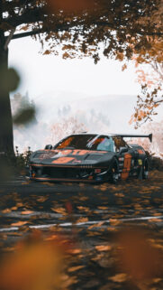 Acura NSX Racing Car Autumn Mobile Wallpaper