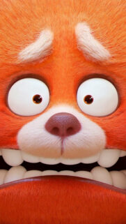 Close-up Red Panda Character Face 4K Mobile Wallpaper