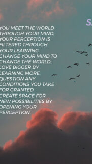Sagittarius Mindset and Wisdom Aesthetic Zodiac Constellation Wallpaper