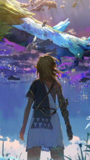 Link Gazing at the Light Dragon Mobile Wallpaper