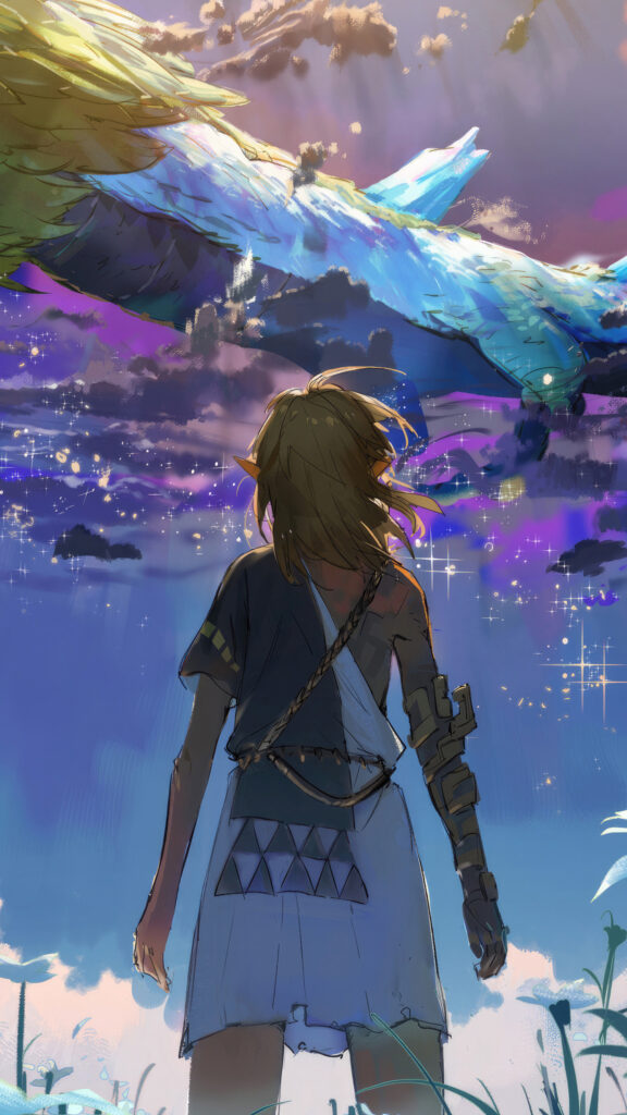 Link Gazing at the Light Dragon Mobile Wallpaper