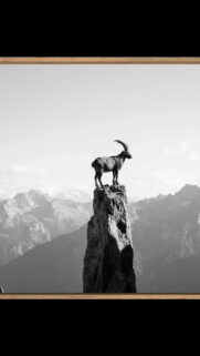 Capricorn Goat on Mountain Peak Spiritual Astrology Zodiac Sign Wallpaper