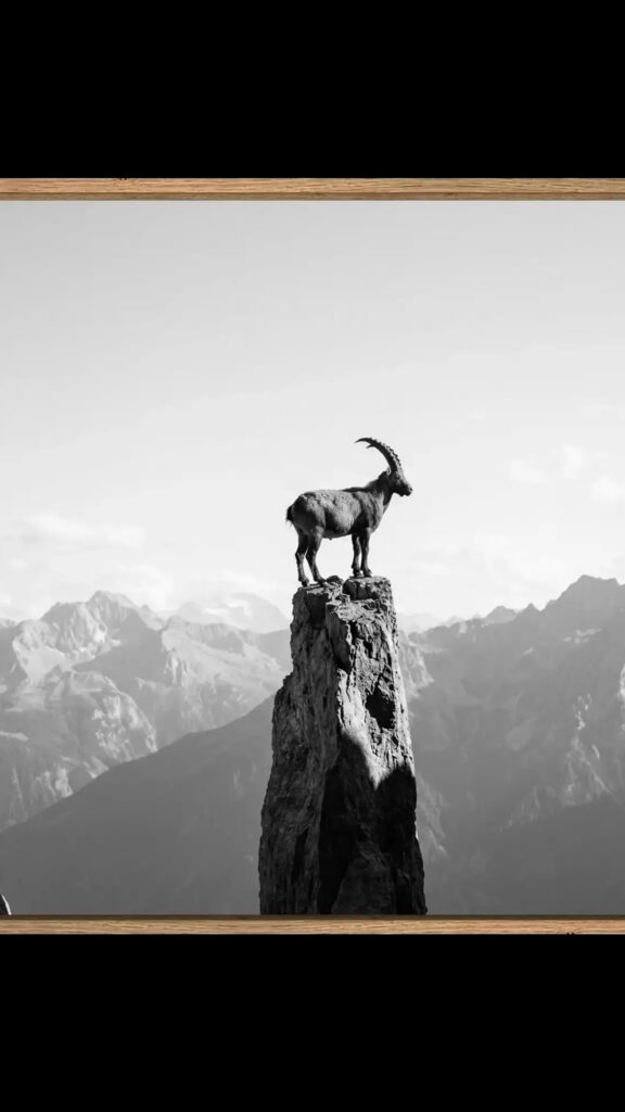 Capricorn Goat on Mountain Peak Spiritual Astrology Zodiac Sign Wallpaper
