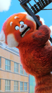 Turning Red Panda Looking Down from Fire Escape Mobile Wallpaper