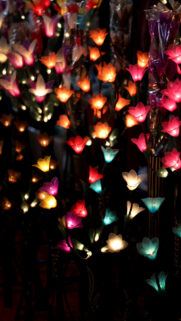 Vibrant Illuminated Floral Display Mobile Wallpaper