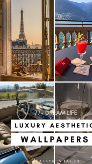 Luxury Lifestyle Manifestation Vision Board Aesthetic Dream Life Wallpaper