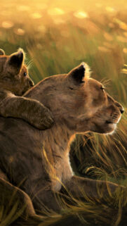 A Tender Moment Between Lioness and Cub Portrait Mobile Wallpaper