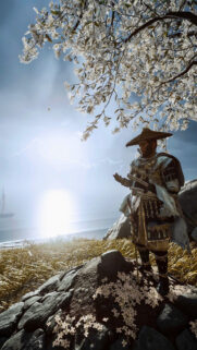 Ghost of Tsushima Jin Sakai Cherry Blossom Mobile Wallpaper