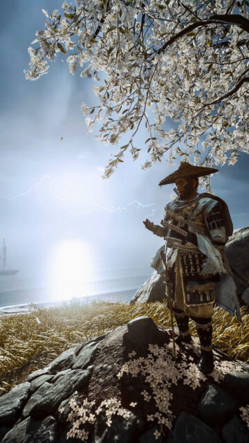 Ghost of Tsushima Jin Sakai Cherry Blossom Mobile Wallpaper