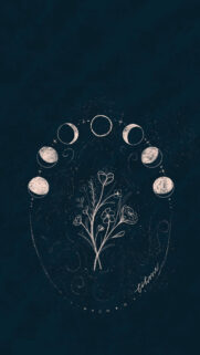 Minimalist Lunar Cycle and Wildflower Spiritual Aesthetic Wallpaper