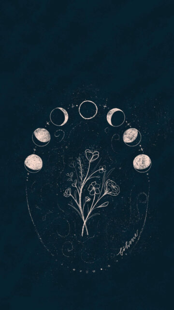 Minimalist Lunar Cycle and Wildflower Spiritual Aesthetic Wallpaper