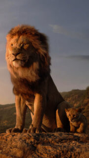 Majestic Lion and Cub Wildlife Cinematic 4K Mobile Wallpaper