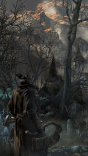Hunter Looking Over The Cursed Frontier Mobile Wallpaper