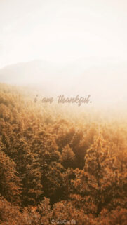 I Am Thankful Autumn Forest Aesthetic Law of Attraction Vision Board Wallpaper