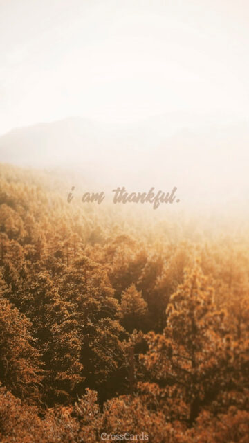 I Am Thankful Autumn Forest Aesthetic Law of Attraction Vision Board Wallpaper
