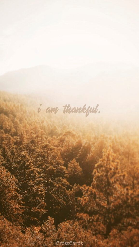 I Am Thankful Autumn Forest Aesthetic Law of Attraction Vision Board Wallpaper