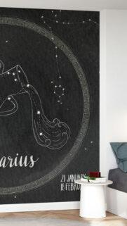Aquarius Zodiac Sign Constellation and Personality Traits Wallpaper