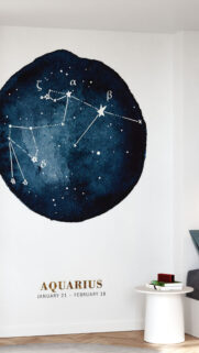 Aquarius Constellation Zodiac Star Sign Aesthetic Phone Wallpaper