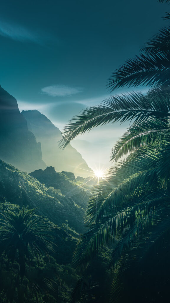 Sunburst over Tropical Mountain Valley Mobile Wallpaper