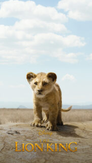 Young Simba Portrait Mobile Wallpaper
