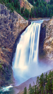 Lower Yellowstone Falls Vertical Mobile Wallpaper