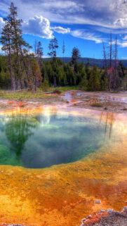 Vibrant Yellowstone Hot Spring Nature Mobile Wallpaper
