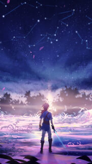 Link Breath of the Wild Starry Night Mobile Wallpaper