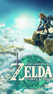 The Legend of Zelda Tears of the Kingdom Link Sky Mobile Wallpaper