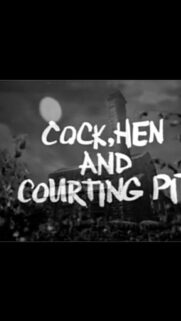 Cock Hen and Courting Pit Title Card Mobile Wallpaper