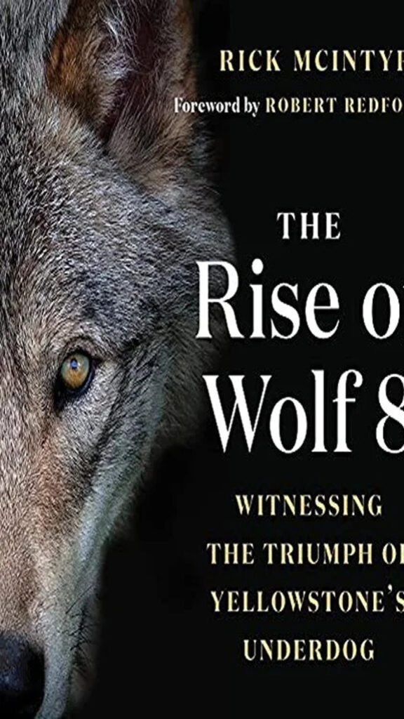 The Rise of Wolf 8 Book Cover Mobile Wallpaper