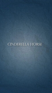 Minimalist Blue Texture Cinderella Horse Mobile Wallpaper