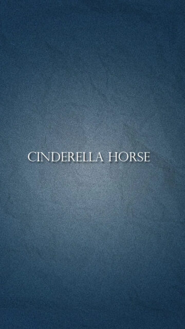 Minimalist Blue Texture Cinderella Horse Mobile Wallpaper