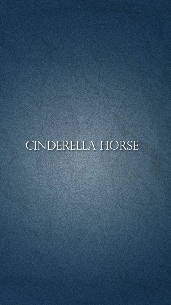 Minimalist Blue Texture Cinderella Horse Mobile Wallpaper