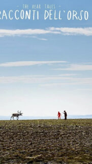 Minimalist Landscape Wildlife Mobile Wallpaper