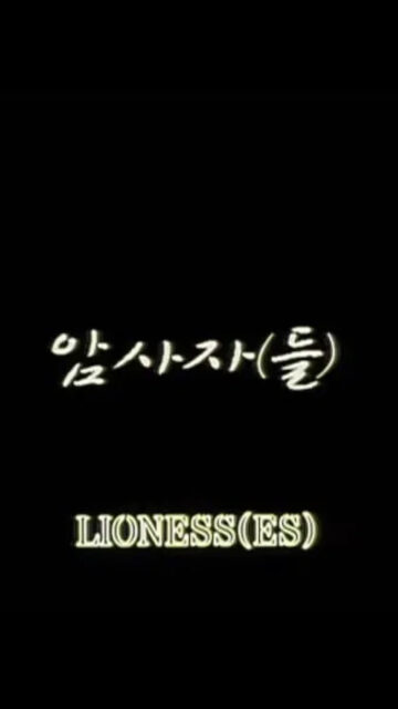 Minimalist Korean Typography Mobile Wallpaper