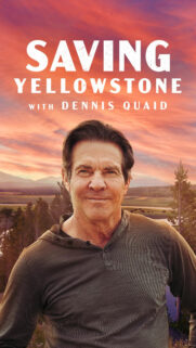 Dennis Quaid Saving Yellowstone Mobile Wallpaper