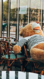 Lonely Teddy Bear in Cafe Window Mobile Background Wallpaper