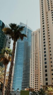 Dubai Modern Skyscrapers and Palm Trees Cityscape Phone Wallpaper