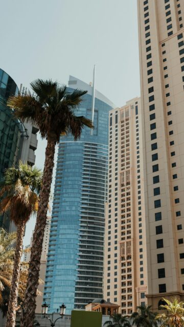 Dubai Modern Skyscrapers and Palm Trees Cityscape Phone Wallpaper