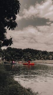 Serene Lake Boating Adventure with Palm Trees Phone Wallpaper