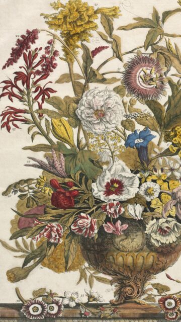 Antique Botanical Illustration of Floral Bouquet Phone Wallpaper