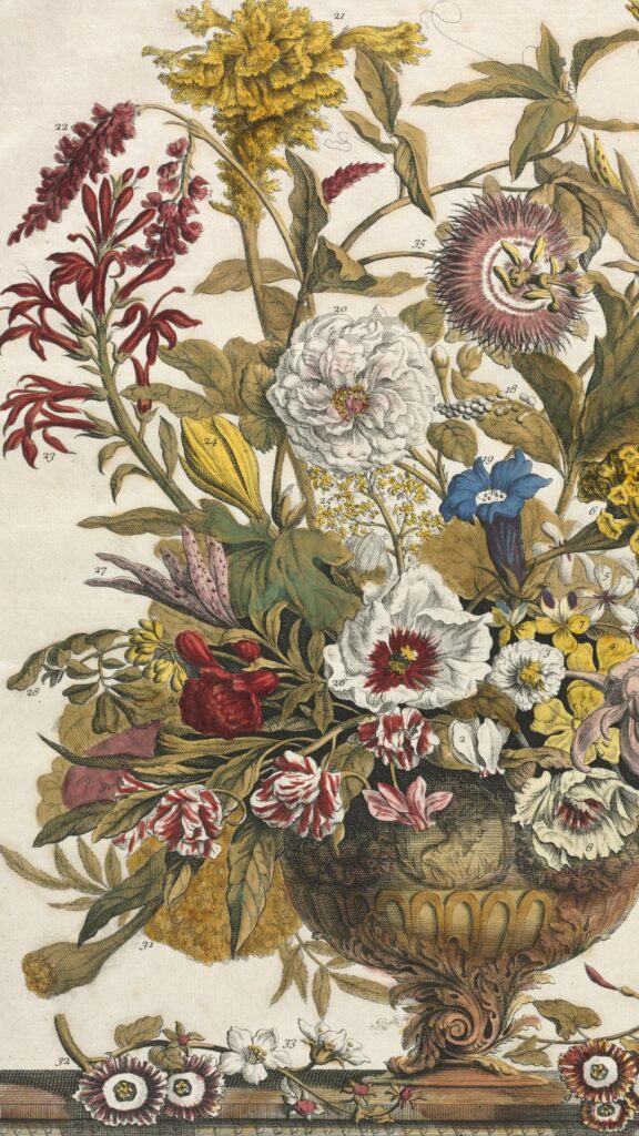 Antique Botanical Illustration of Floral Bouquet Phone Wallpaper