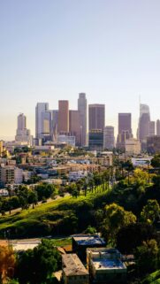 Stunning Los Angeles City Skyline Golden Hour Phone Wallpaper