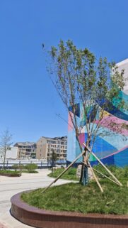 Vibrant Mural Tree Park Scene Sunny Day Mobile Wallpaper