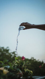 Cancer Zodiac Water Element Aesthetic Spiritual iPhone Wallpaper