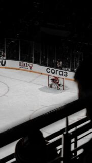 Dramatic Ice Hockey Goalie During Professional Match Mobile Wallpaper